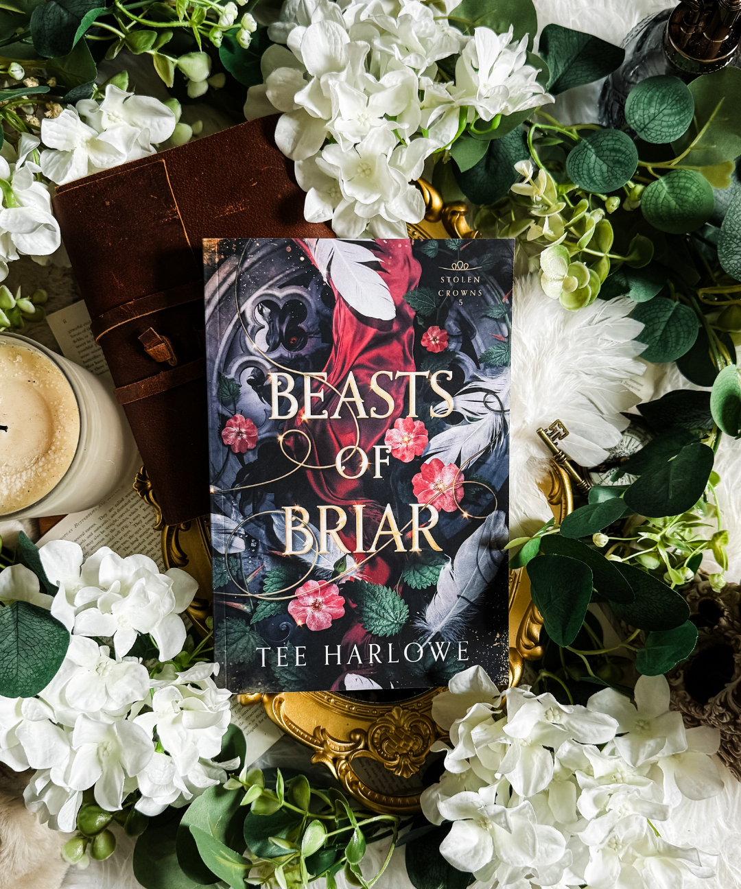 Beasts of Briar - Paperback