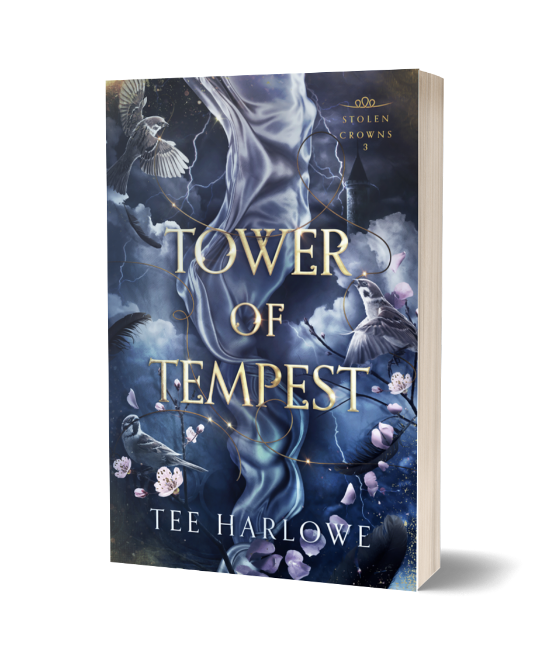 Book cover of 'Tower of Tempest' by Tee Harlowe with a mystical design.