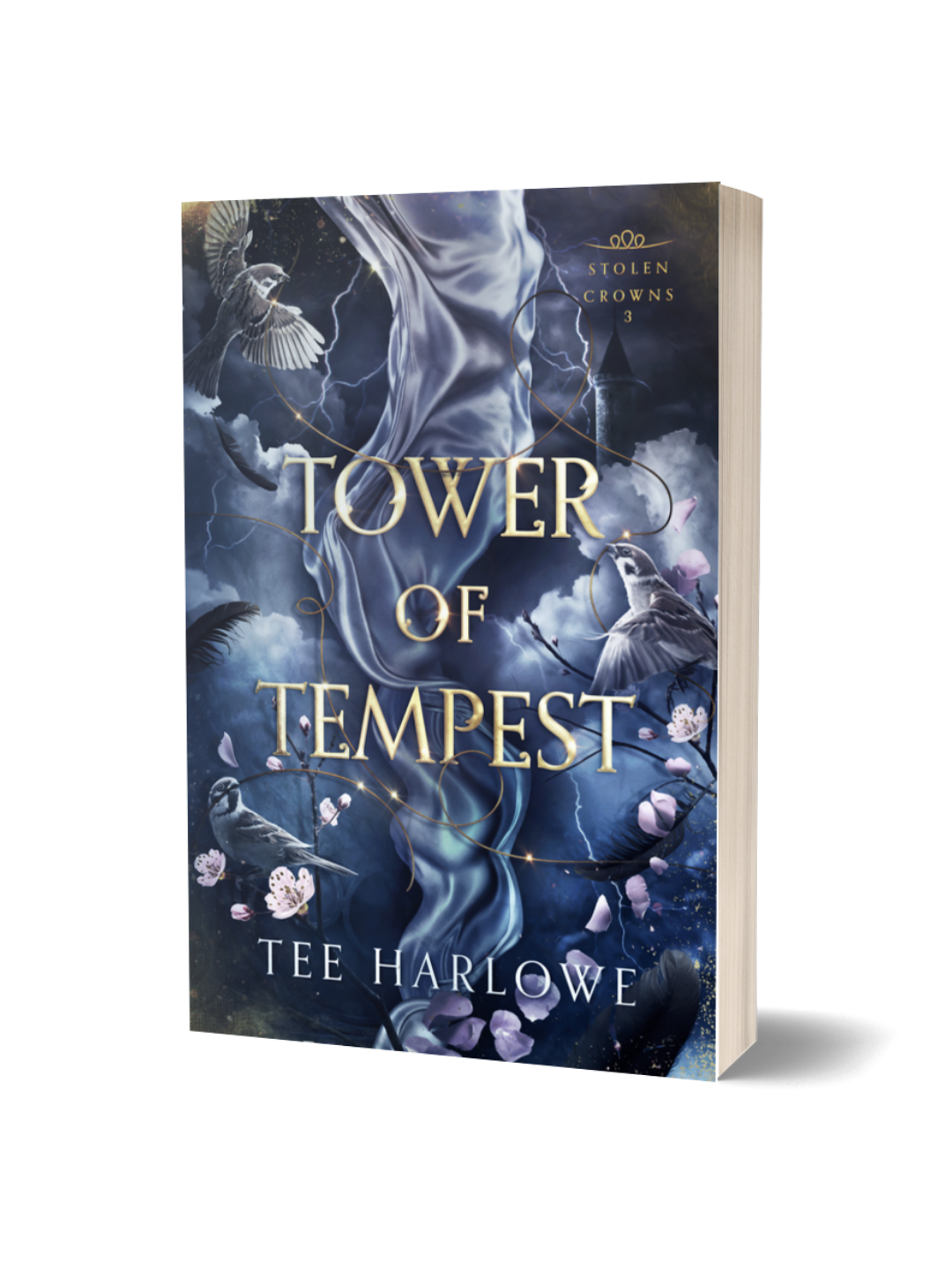 Book cover of 'Tower of Tempest' by Tee Harlowe with a mystical design.