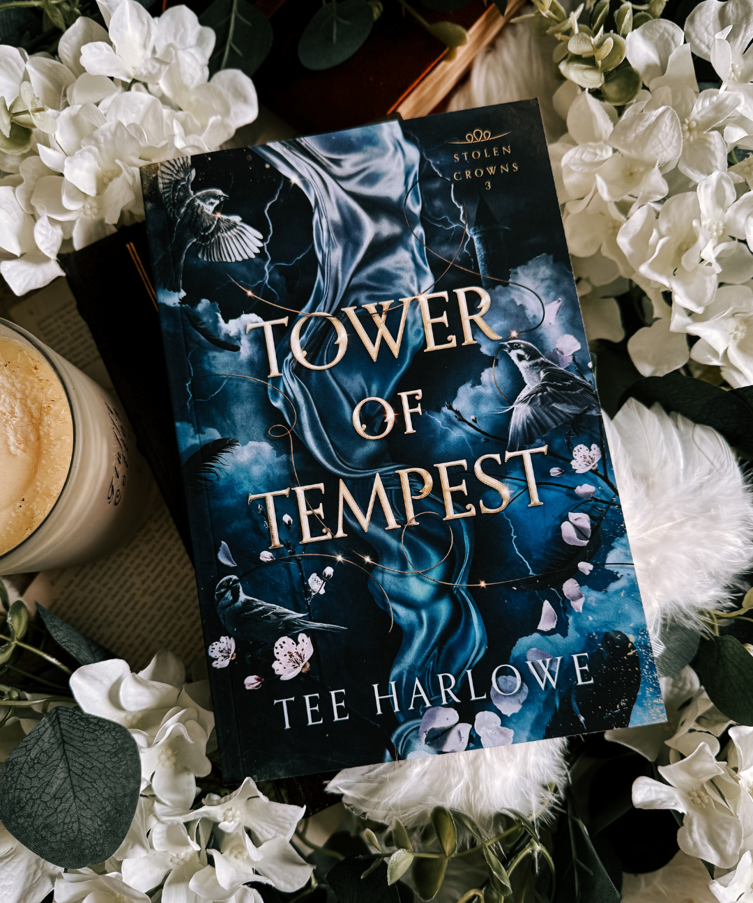 Stolen Crowns - Paperback Bundle