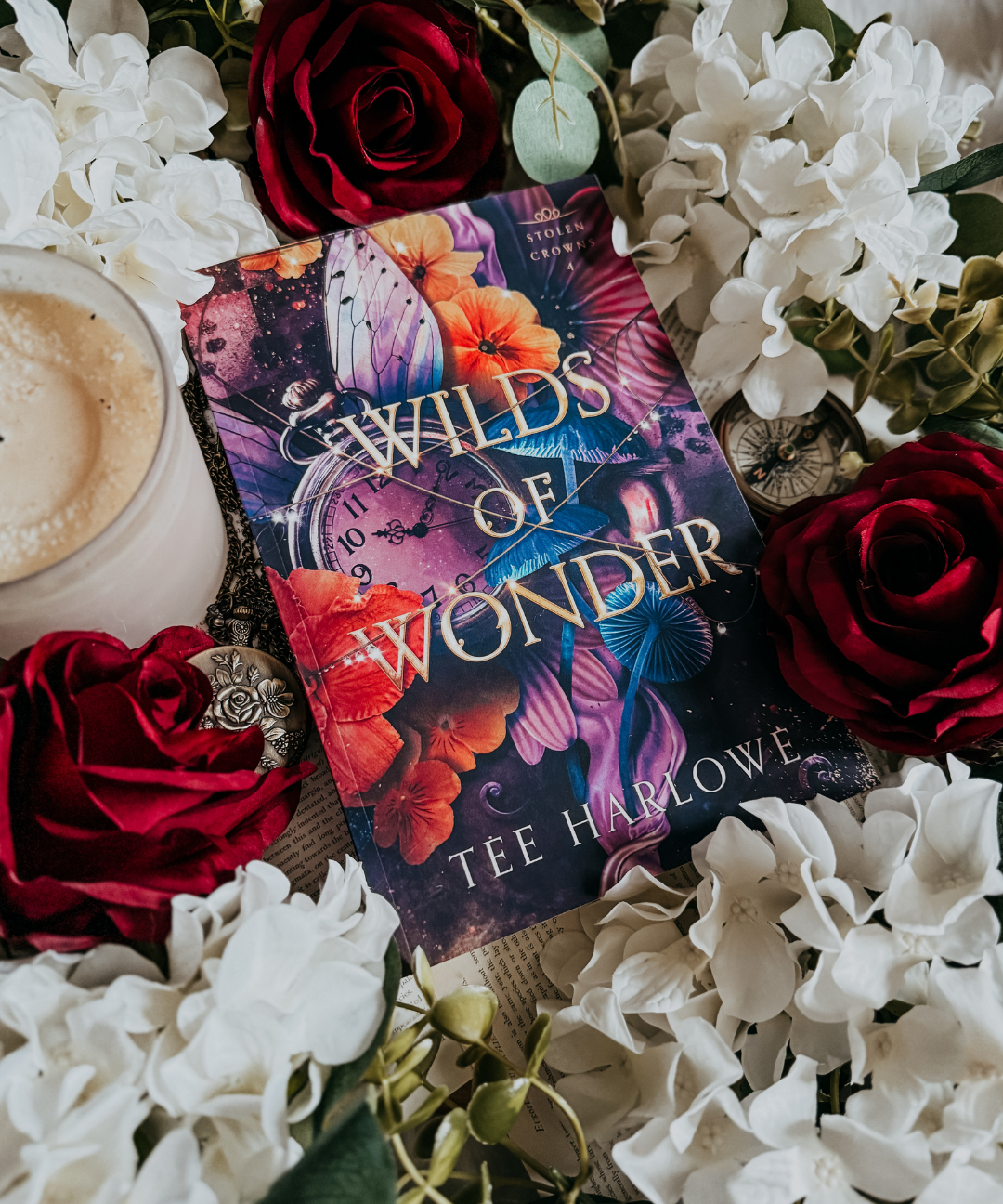 Wilds of Wonder - Paperback